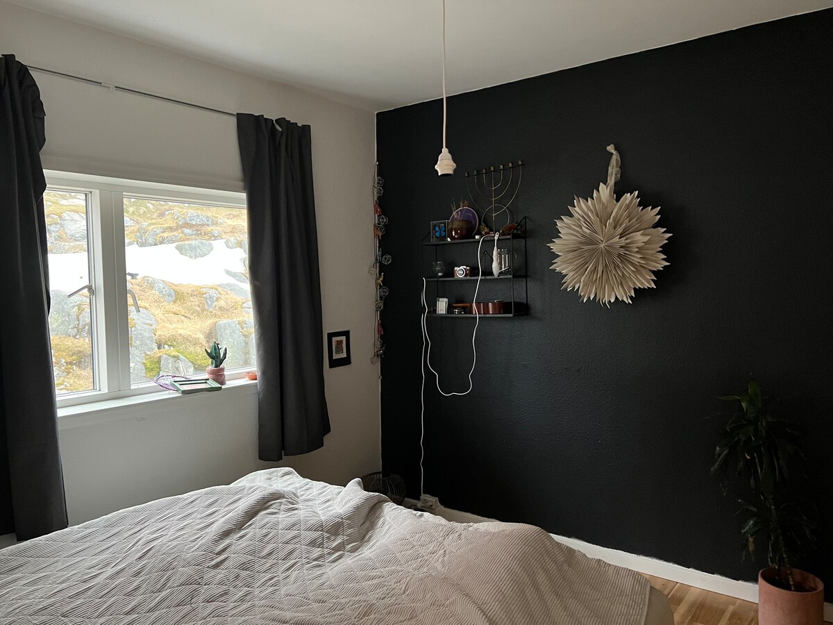 努克（ Nuuk ）中心舒适的单卧室公寓