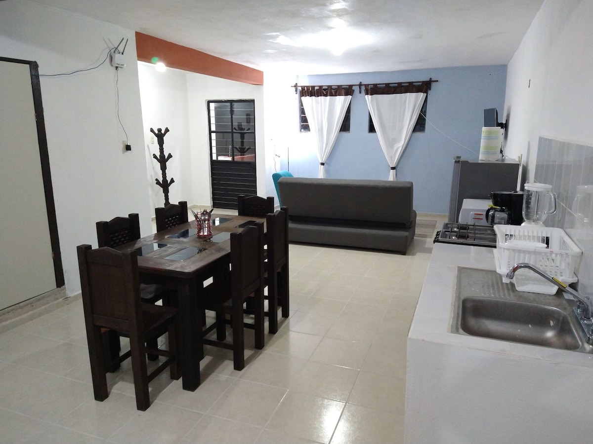 3.1 Departamento zona centro