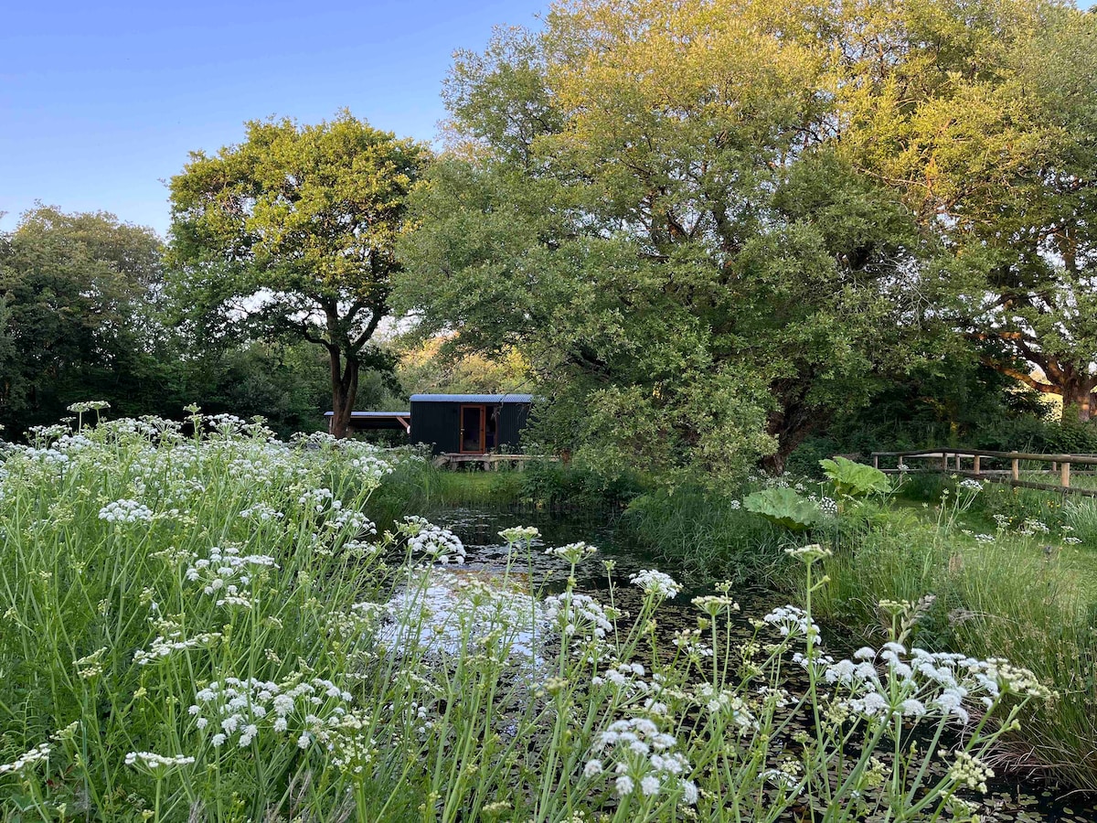 Secluded woodland shepherd hut retreat