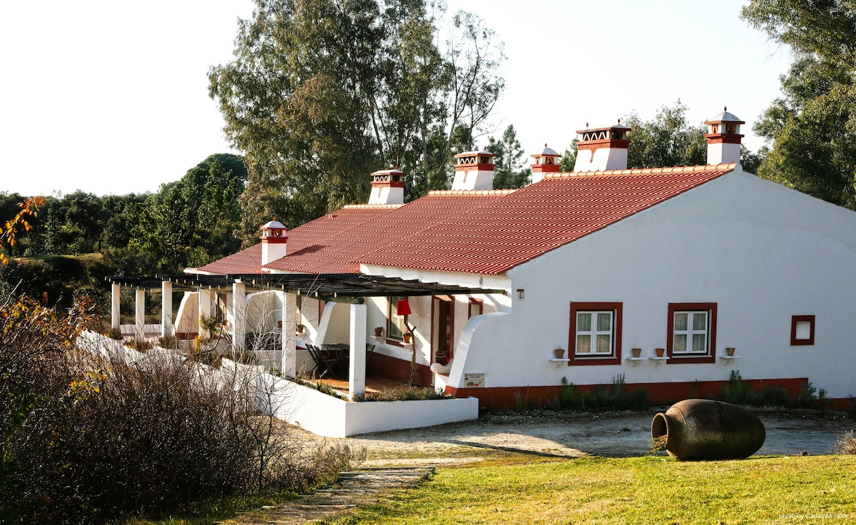 Monte do Areeiro inlusive-3 Campo house