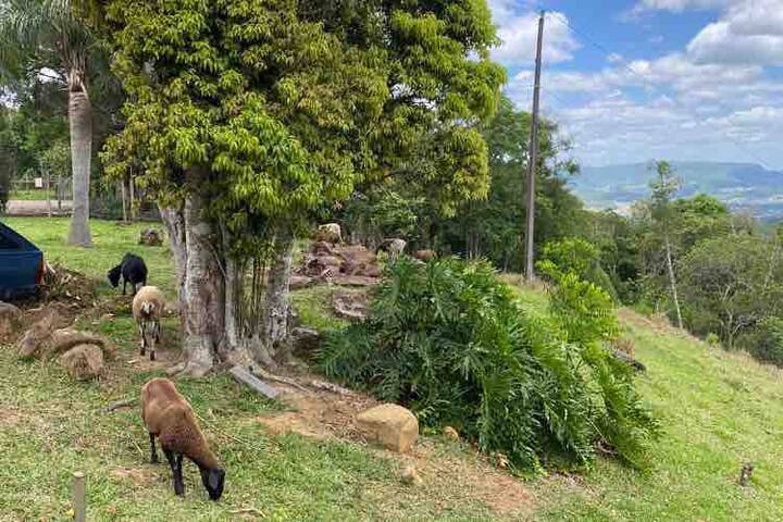 Rio do Sul的民宿