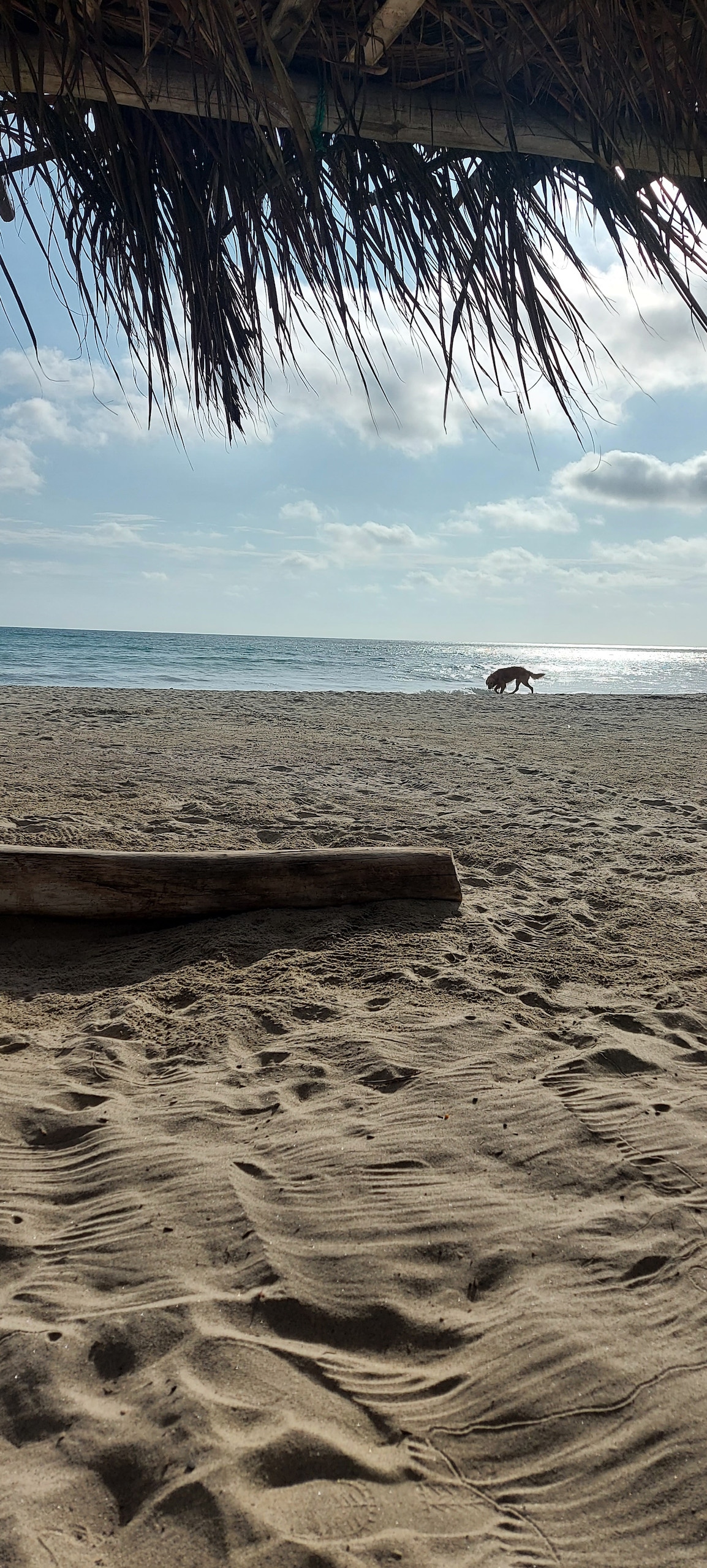 🏖🏡Casa de Playa en Canoa- Manabí

太平洋娱乐区（ Pacific Recreation Sector ） ，很高兴您在100%家具齐全的套房提供舒适愉快的出租服务，并提供所有便利设施。
 
🎯与SDGs一致