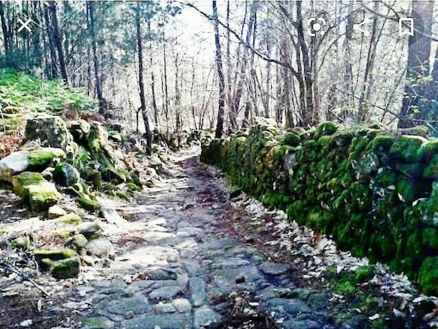 Casa de Pueblo "Rodrigo" Sierra de Gata, Cáceres