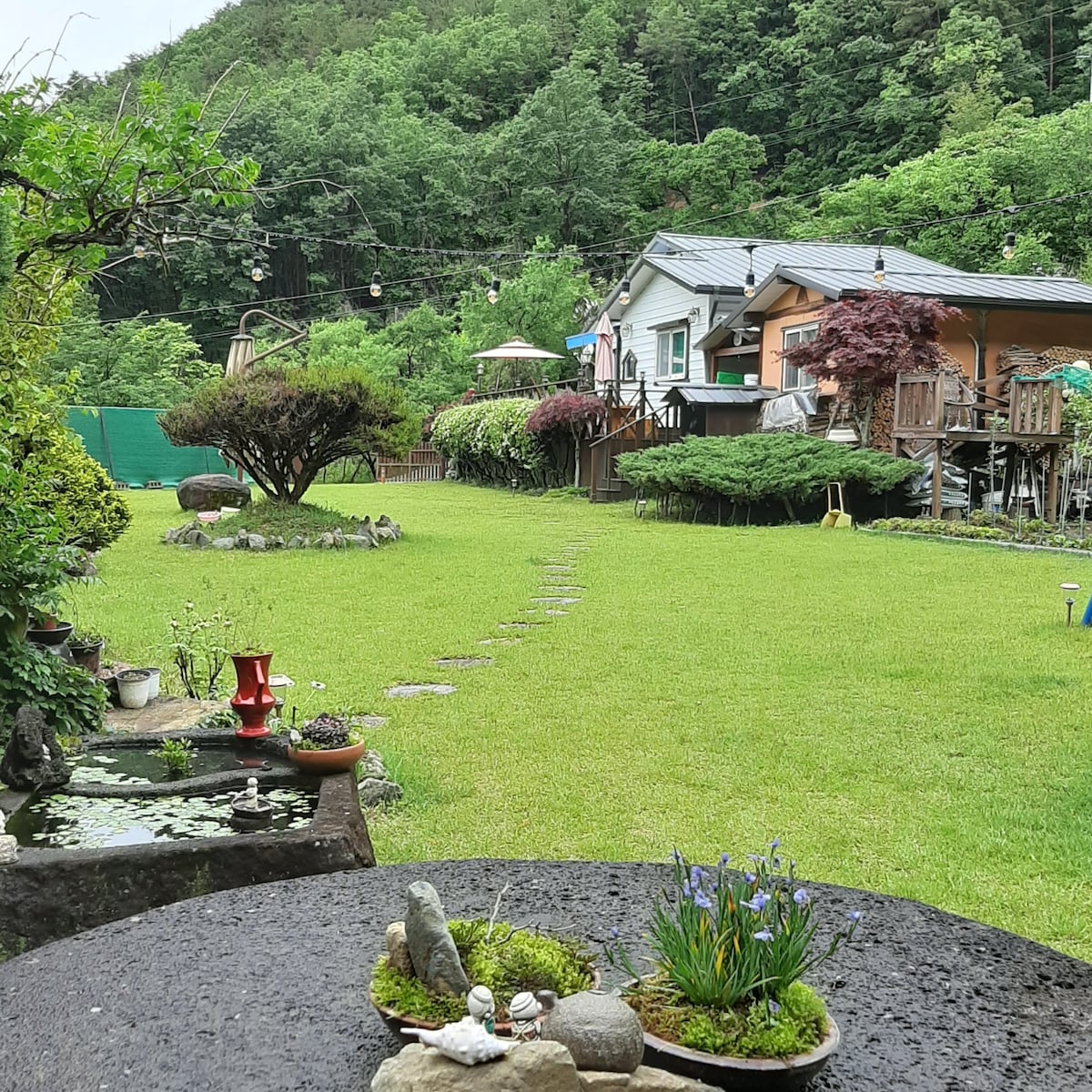 Millyang:)绿色草地上风景如画的房子