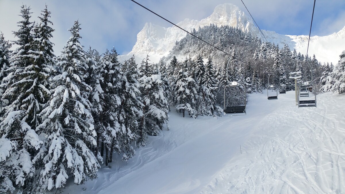 Somptueux appartement au pied du Vercors