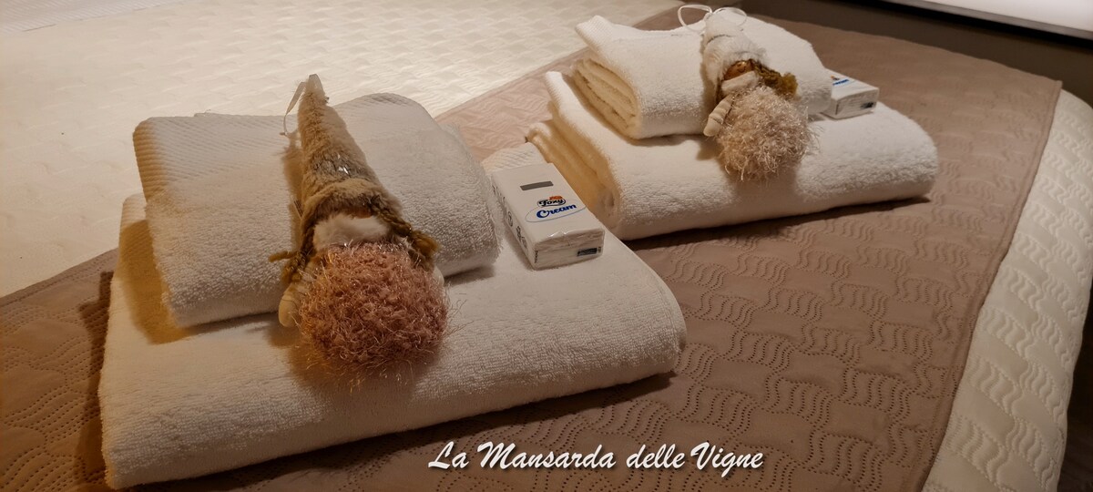 La Mansarda delle Vigne: Suite Loft Porto Antico