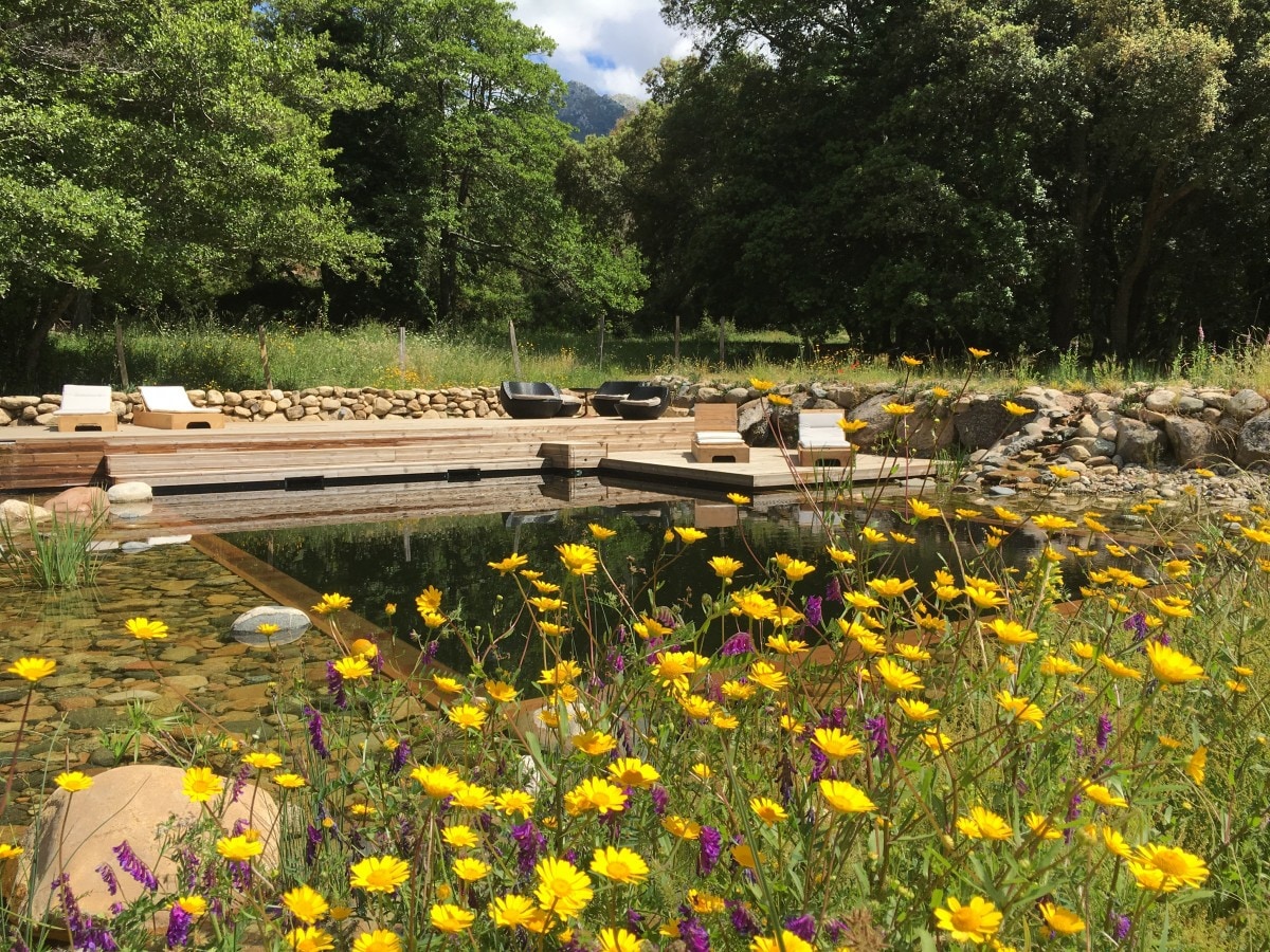 U Pratu, bungalows en pleine Nature - Sant Armettu