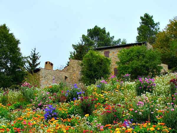 Hameau de gîtes avec piscine naturelle   "JOSHUA"