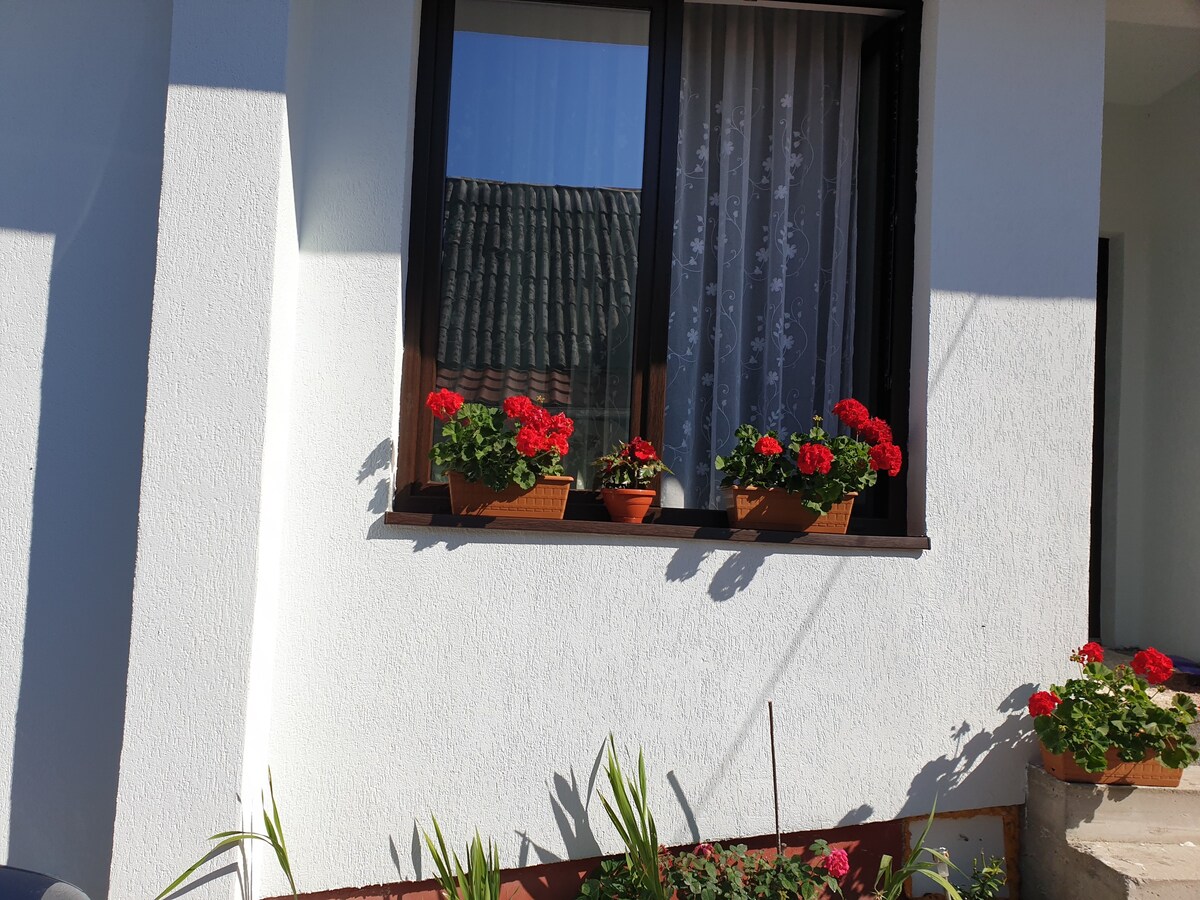 Casa Dalina in Maramures