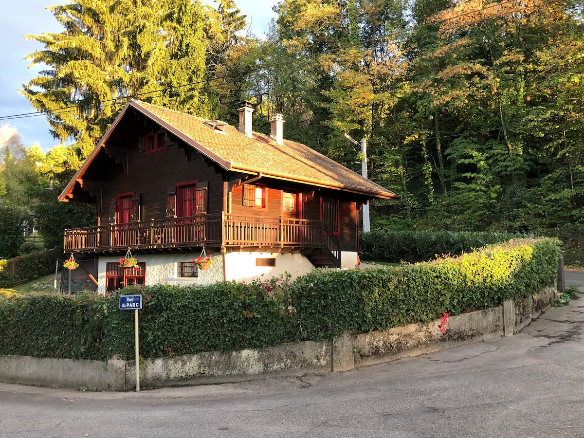 Chalet Savoyard面向Le Léman