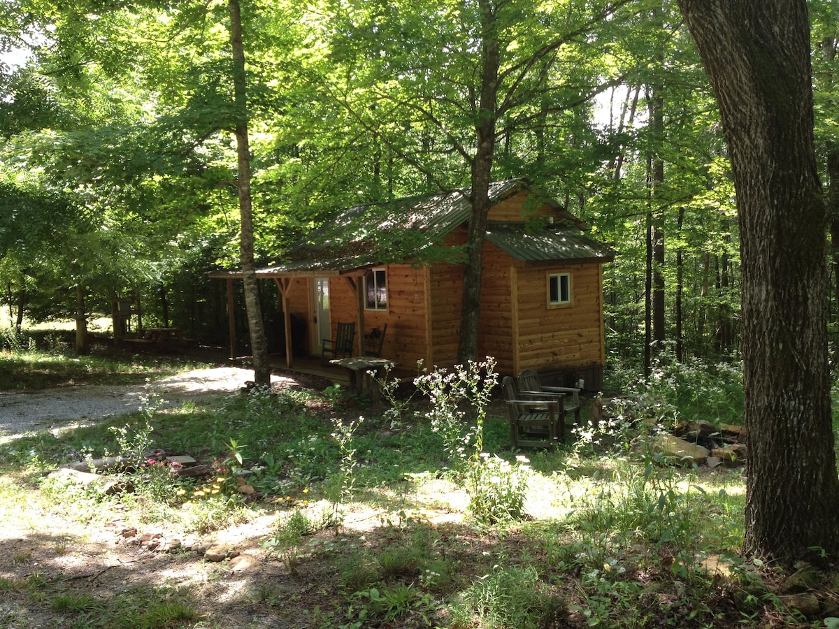 Forest Cabin at Sinking Creek