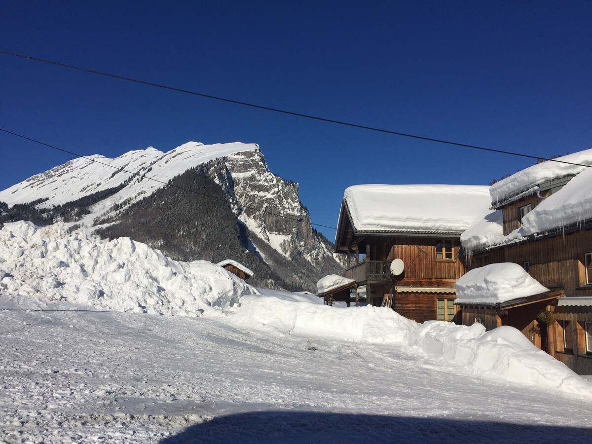 带3间浴室的公寓，位于澳大利亚Bregenzerwald的理想滑雪场