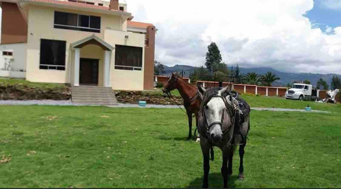 Dream Farm House  - just 10min from Riobamba!