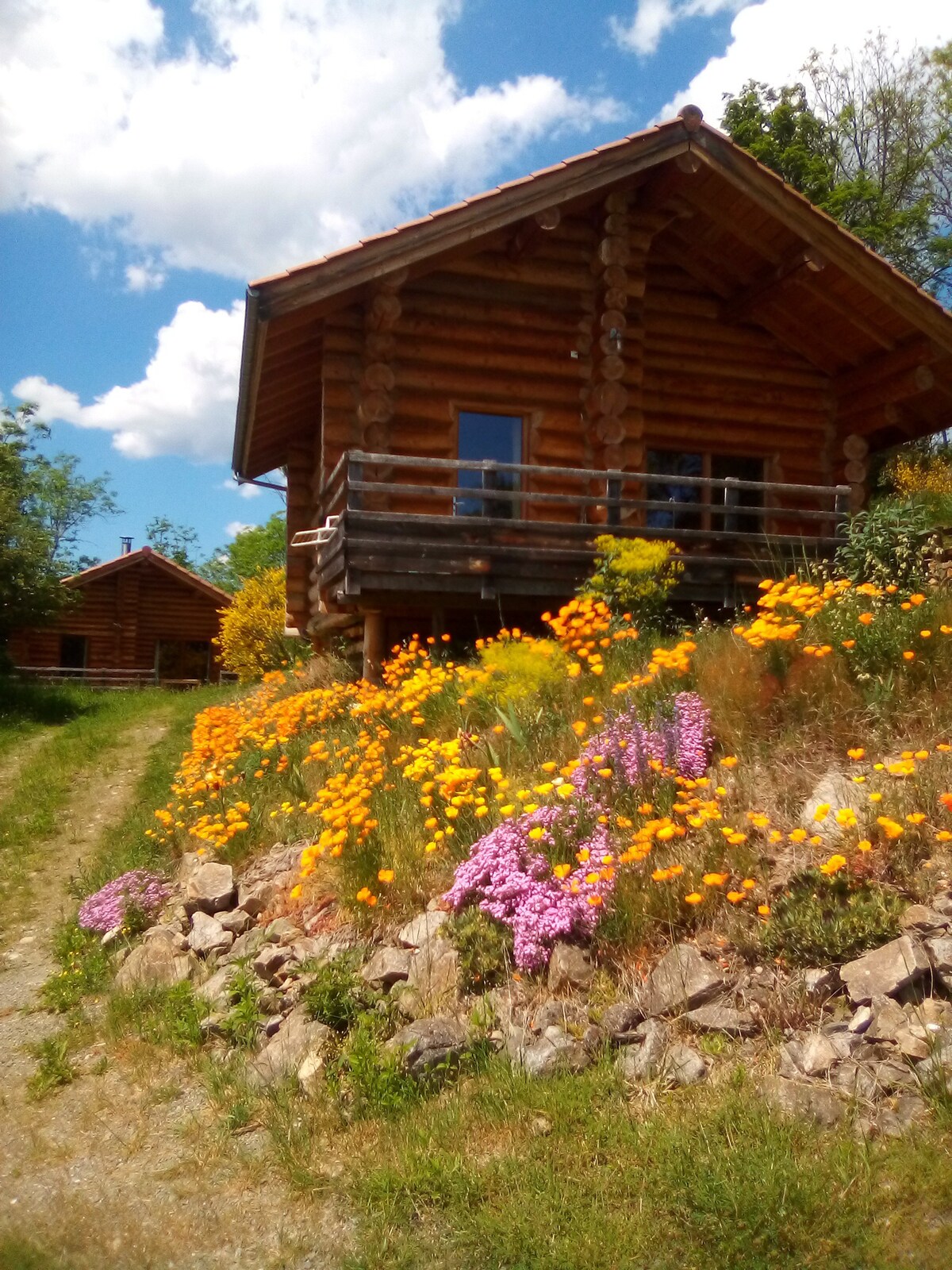 Eco-Gîtes du Forez Chalet des Butter