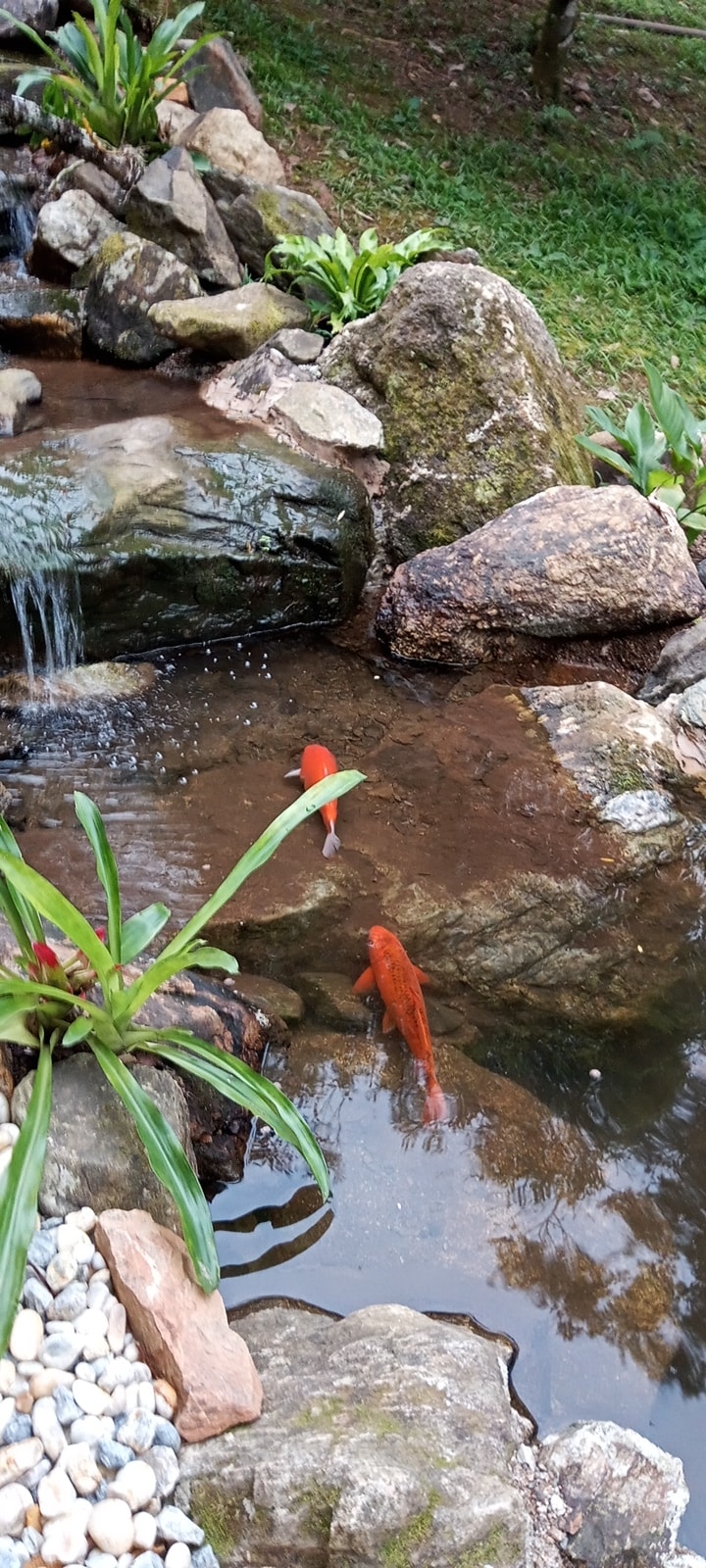 Sítio Vó Darci-  com piscina e cachoeira