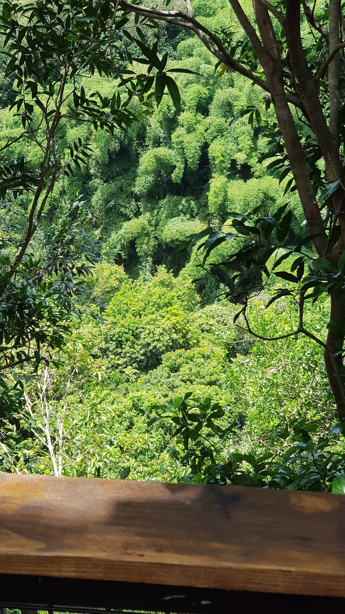 原来的小屋