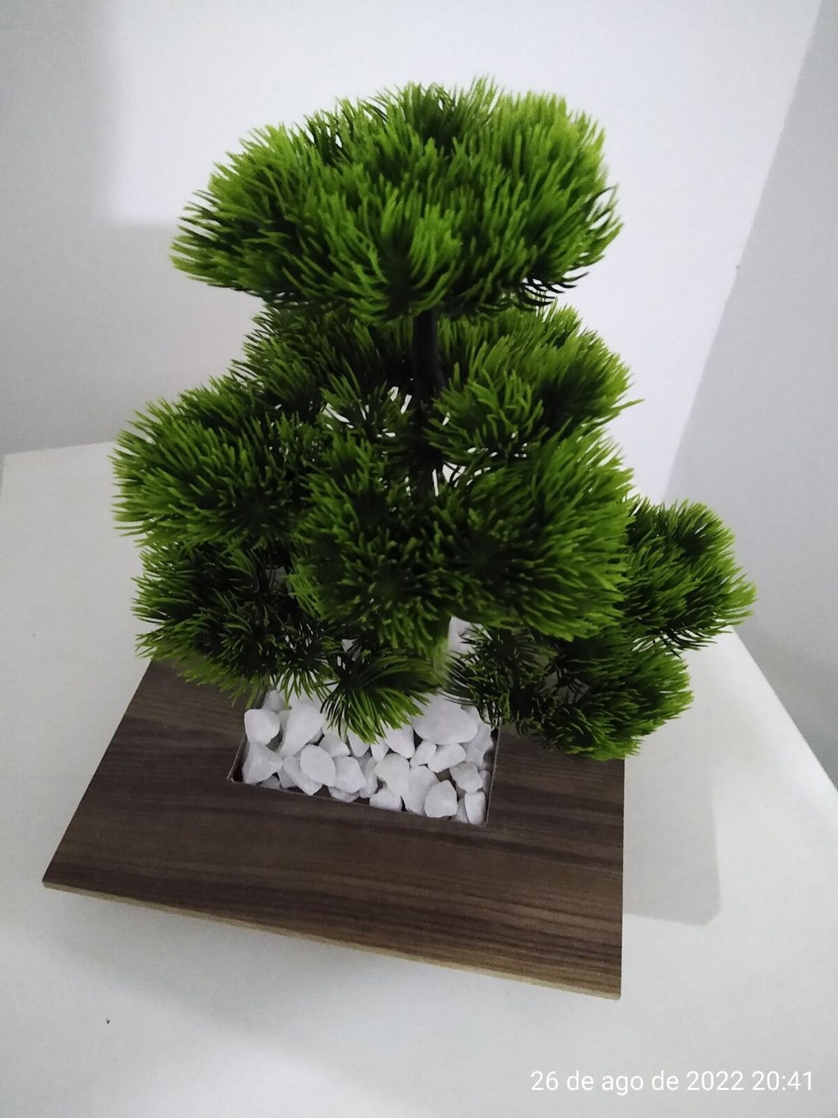 Cantinho Bonsai