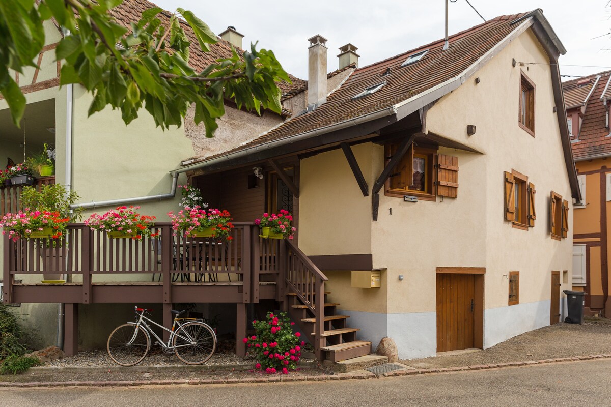 Alsac house.阳台， 3间/4间客房， Ribeauvillé-Colmar