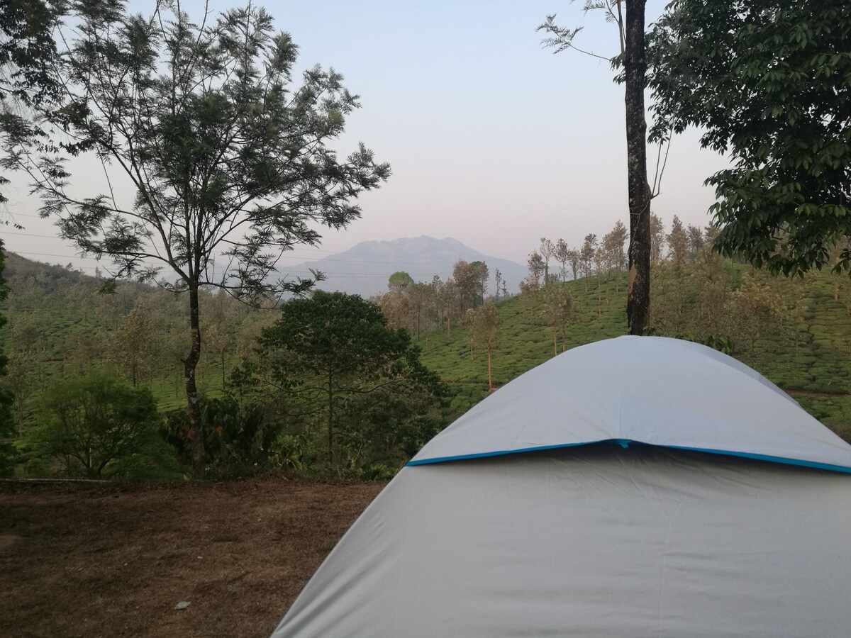 Green garden Tents