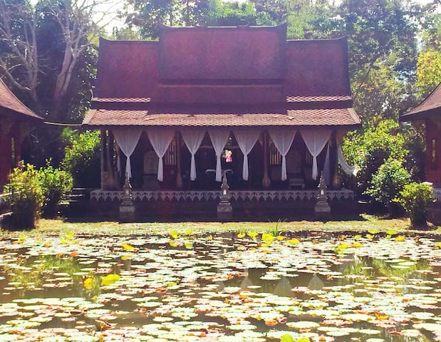 Tambon Chedi Luang的民宿