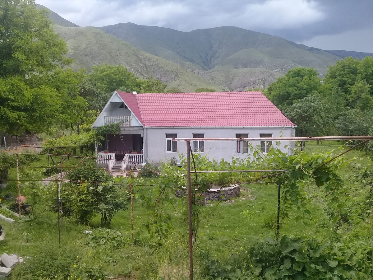 Vardzia. Guest House Imeti