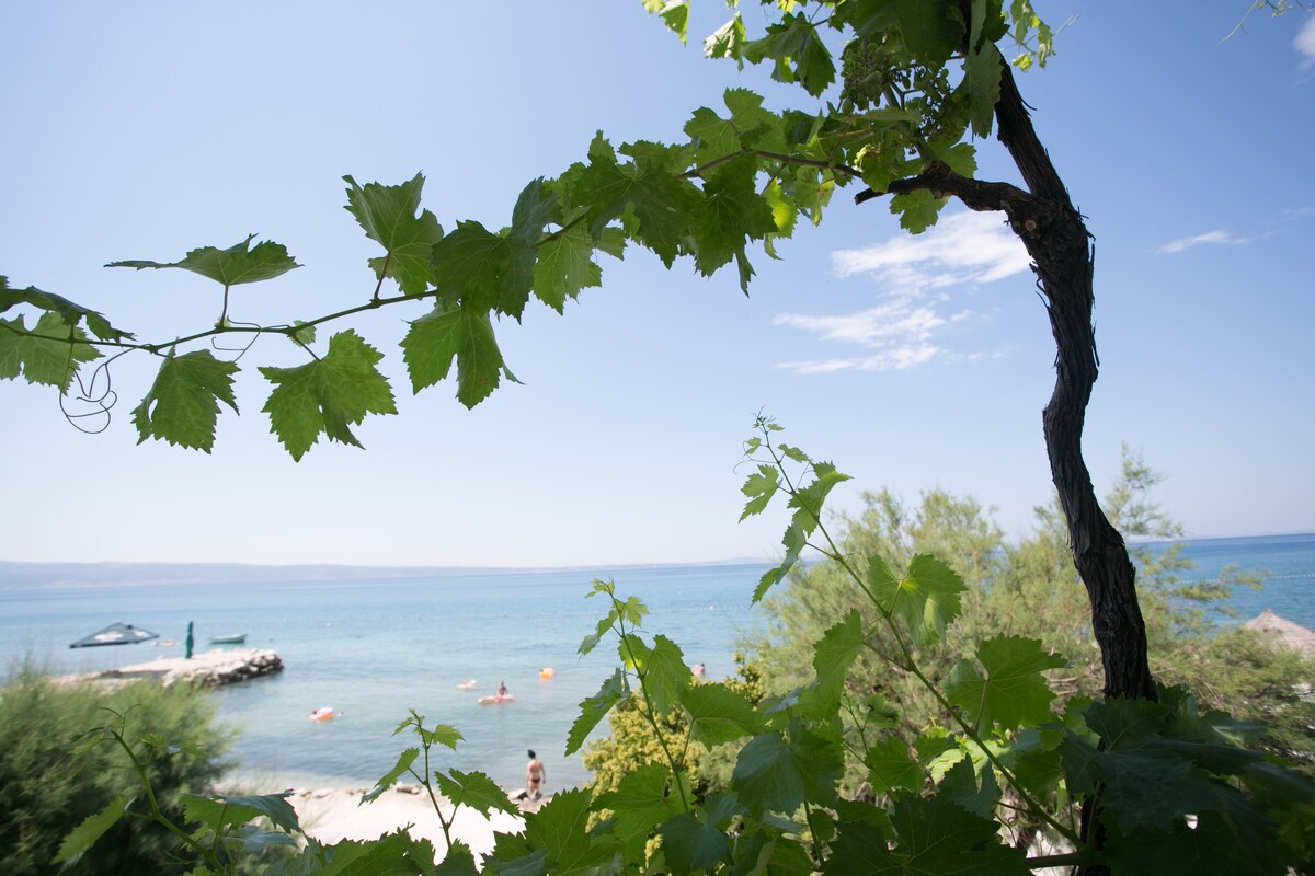 Sunny apartment on the beach- Bakota