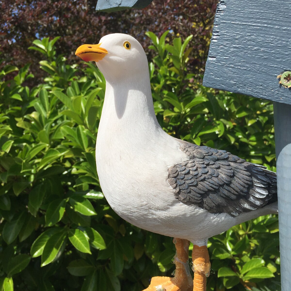 Landeplatz für zwei in Schleswig- Holstein