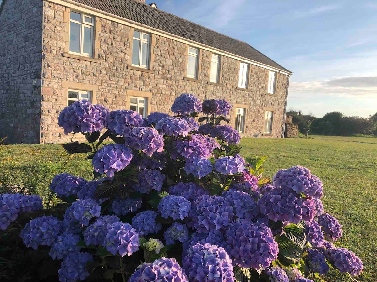 10 The Downs, Thurlestone俯瞰Burgh Island