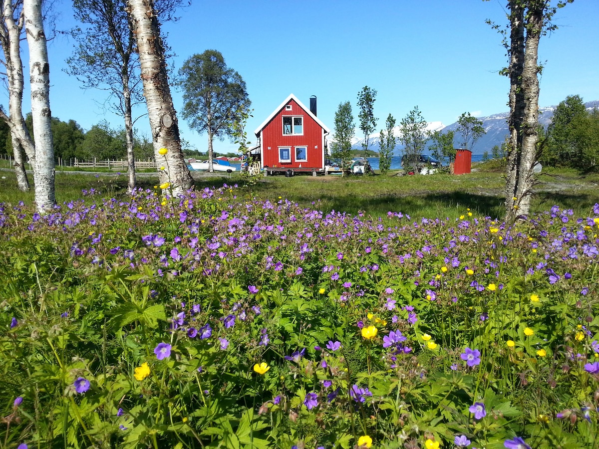 Sjøbua Lyngen