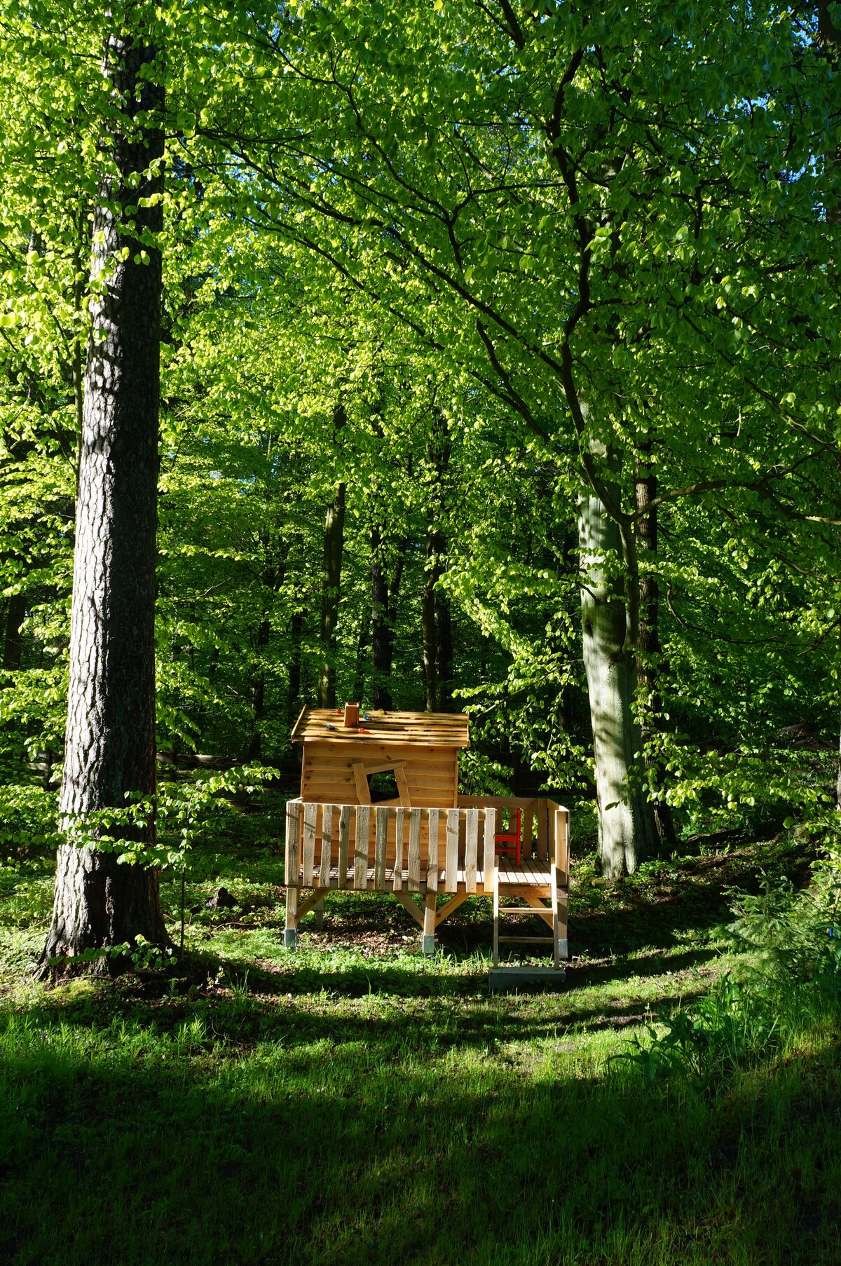 Rest in Forest
Gdansk - Dzierżążno