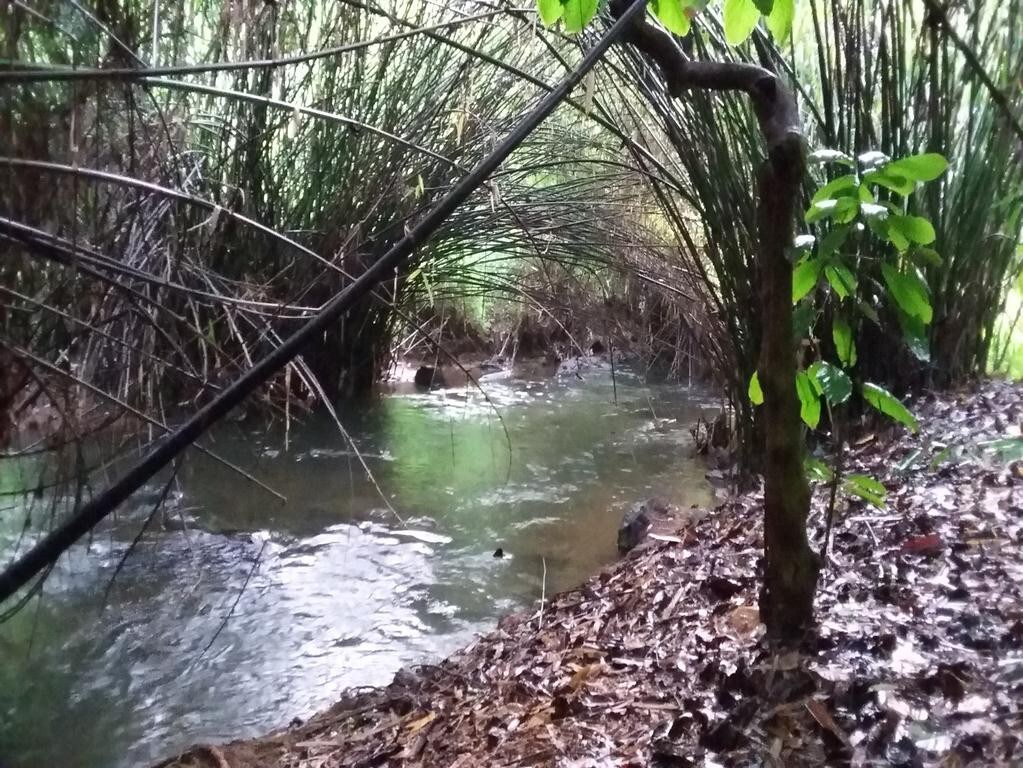 丛林景观小屋-深呼吸