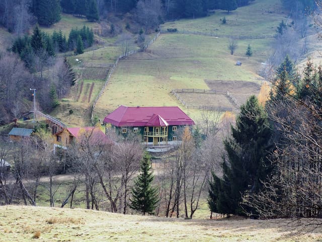 布拉索夫(Brașov)的民宿