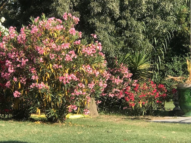 La Bastide de Marignan -私人花园