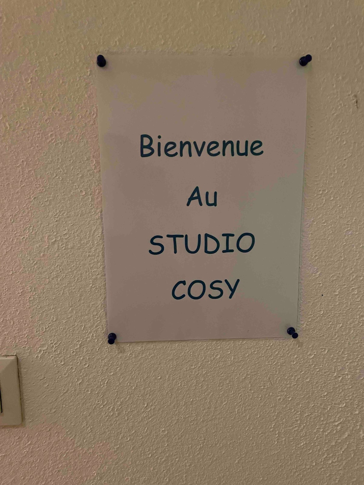 Studio cosy confortable en centre ville