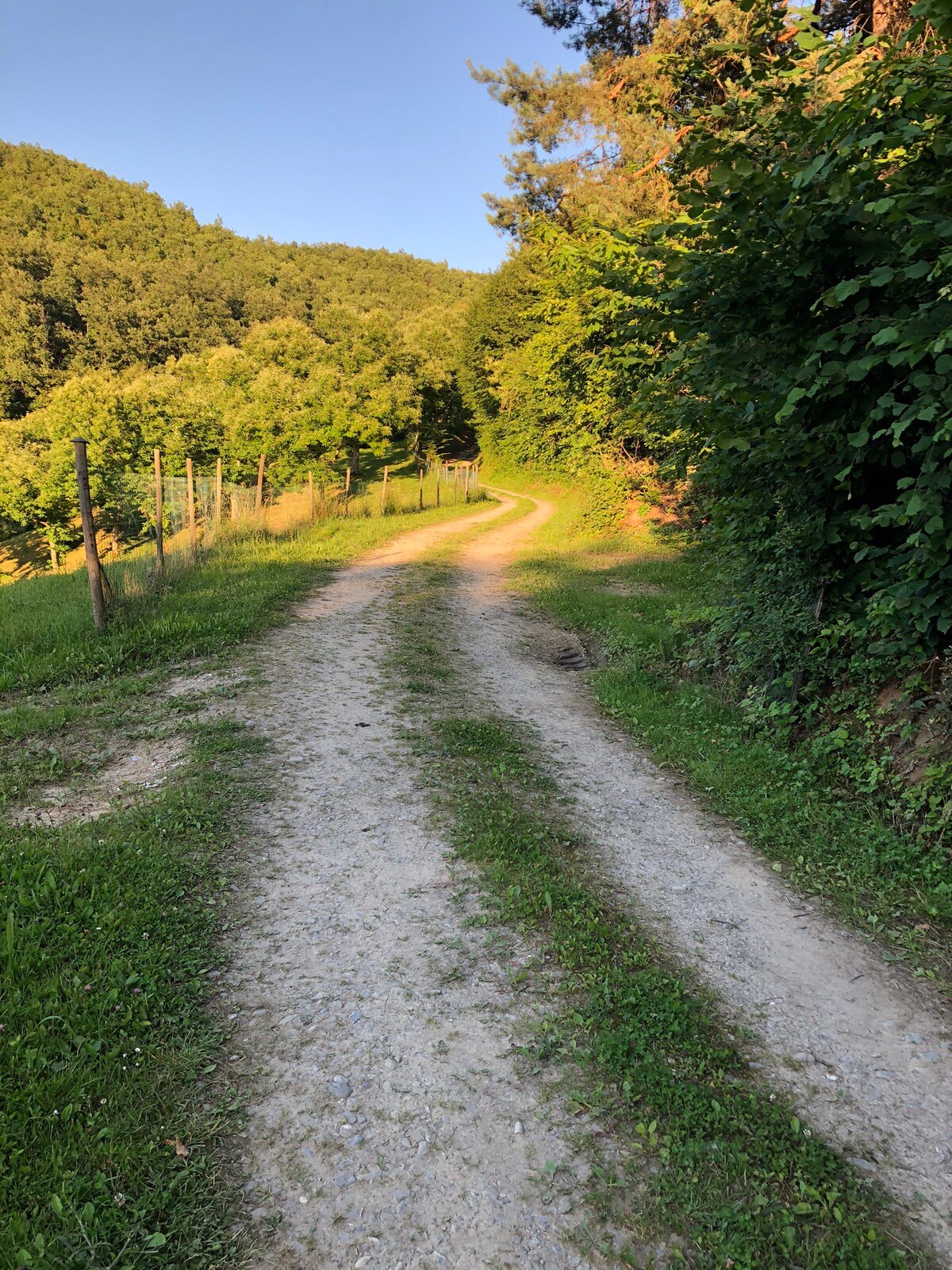 La baita nel castagneto dr