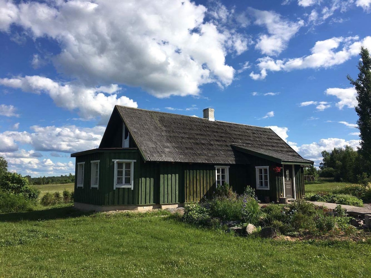 爱沙尼亚东南部令人惊叹的乡村住宅