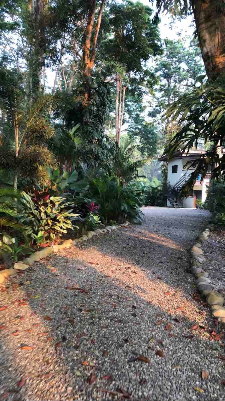 Herons Landing - Modern Jungle Villa