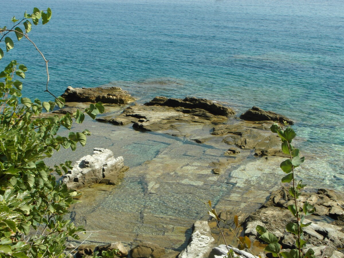海边Kalivi