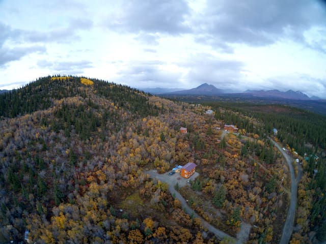 Denali National Park and Preserve的民宿