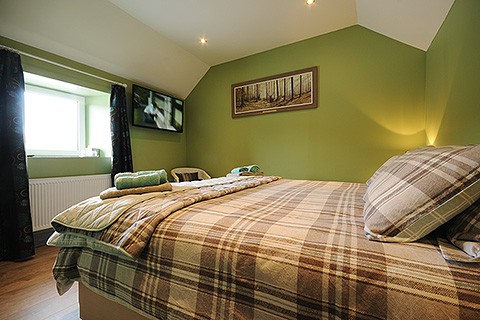 Central House (Double/Twin En-Suite Room)