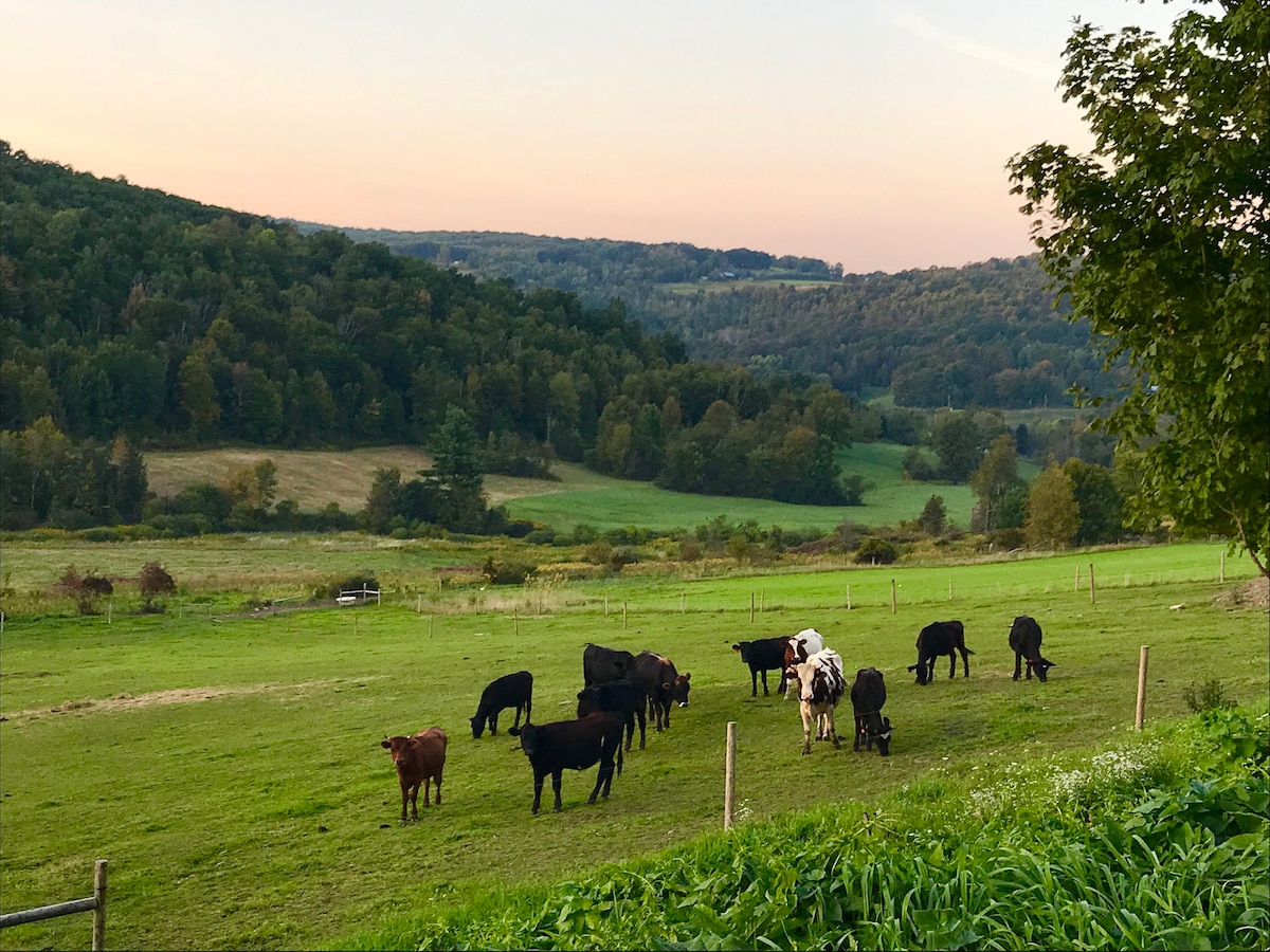 Swarty’s Farmhouse  Retreat