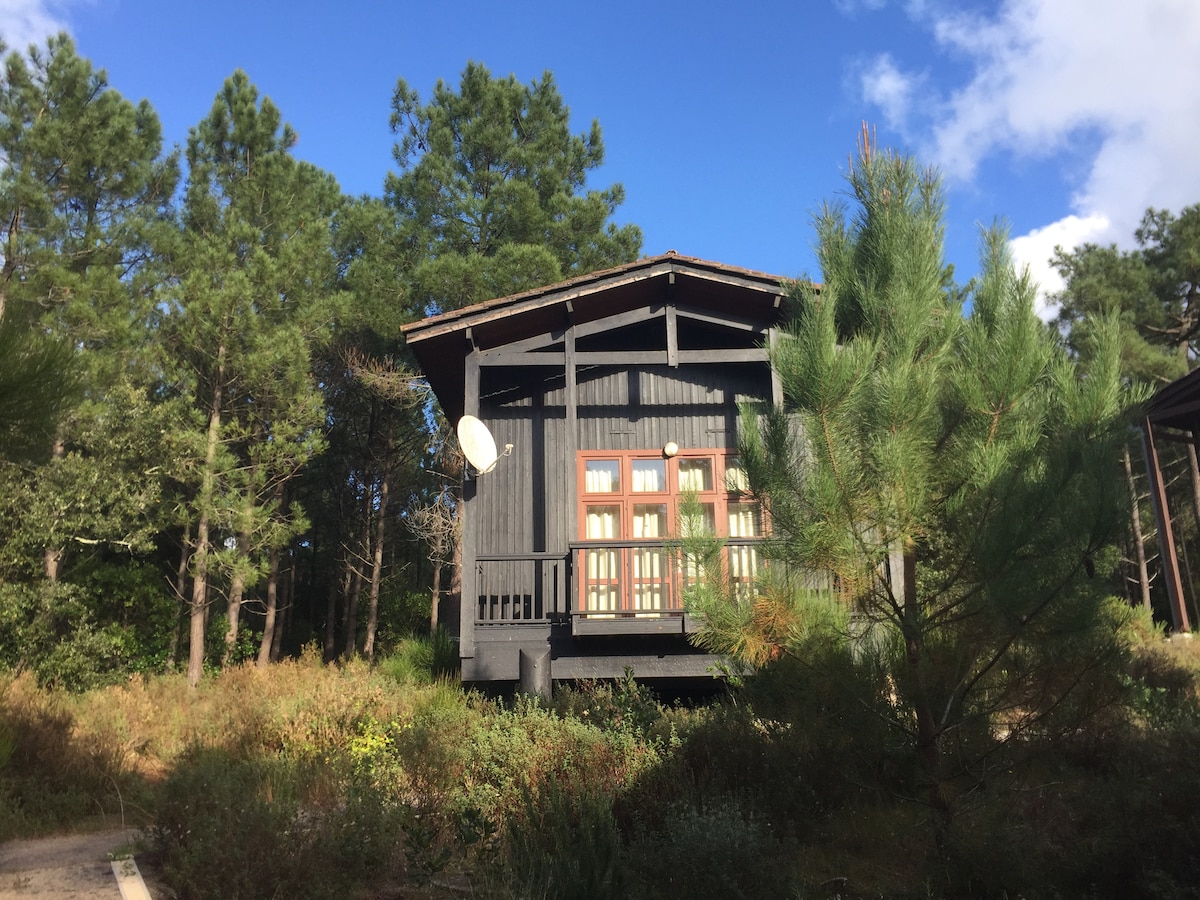 Chalet bord du lac et pinède Maubuisson 4 pers