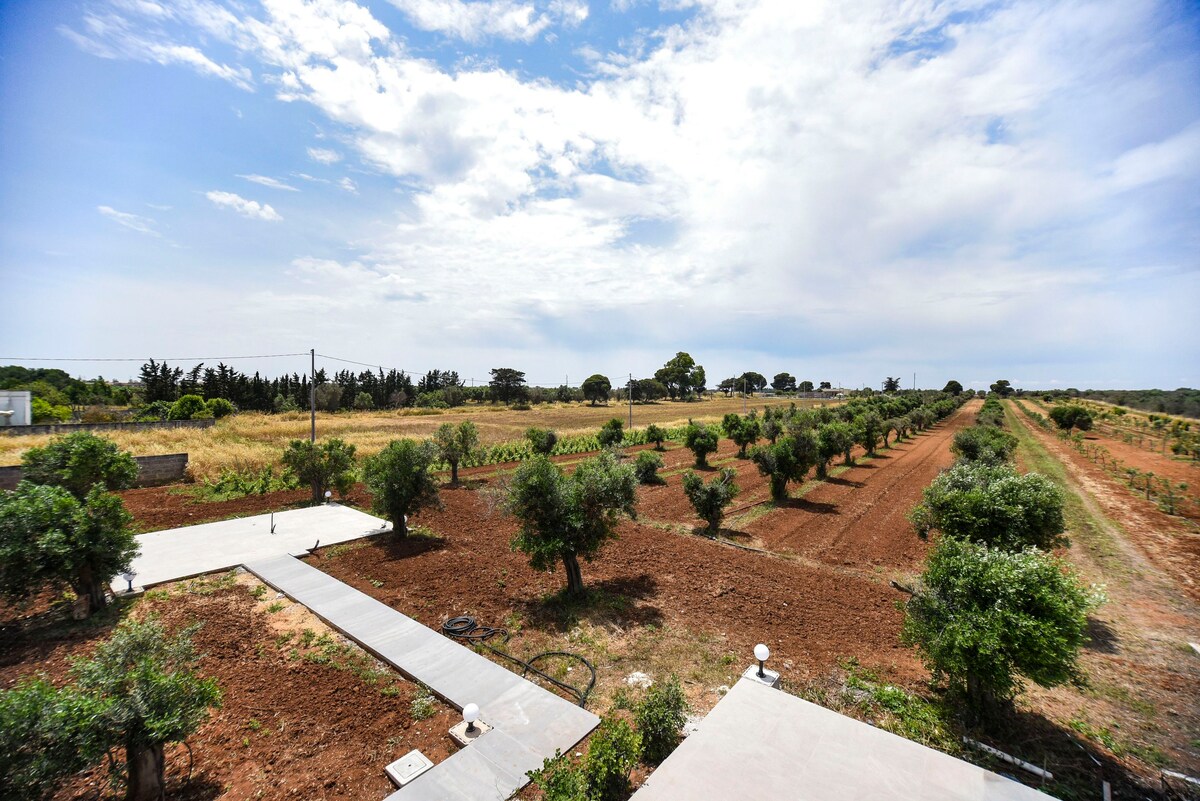 casa cellina porto cesareo