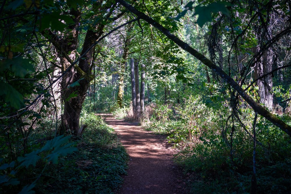 Autzen and Bike Path附近的古朴单间公寓