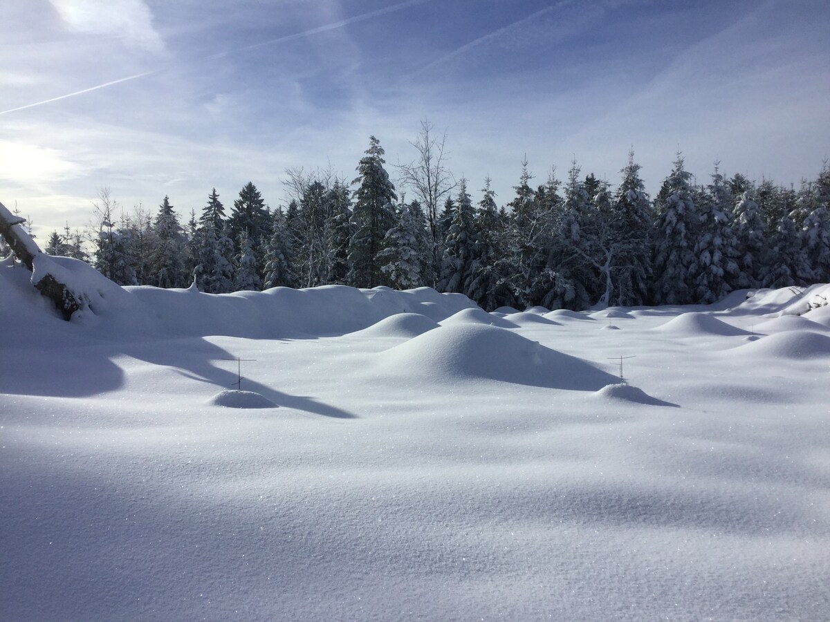 Le nid de Belledonne