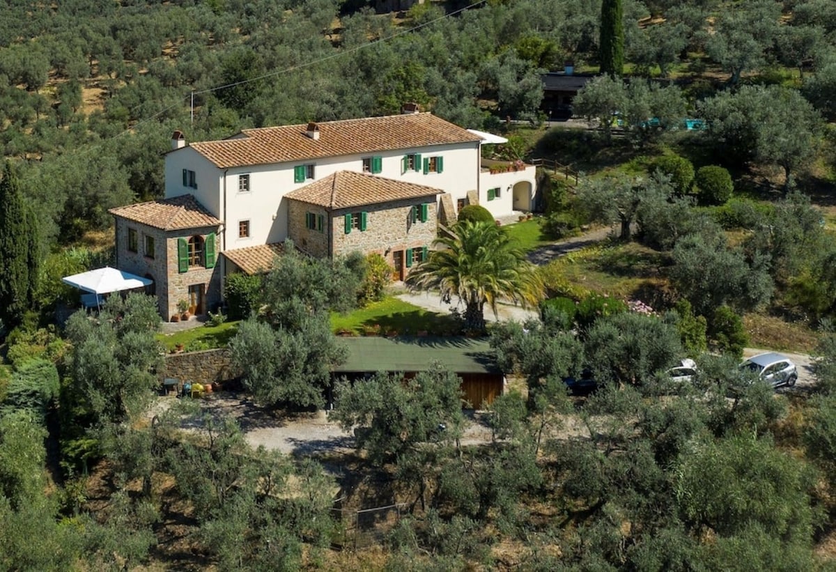 Tuscan Charm: Olive Tree Villa near Vinci