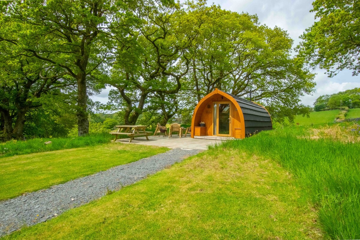 Betws y Coed Snowdonia的豪华露营Conwy Pod