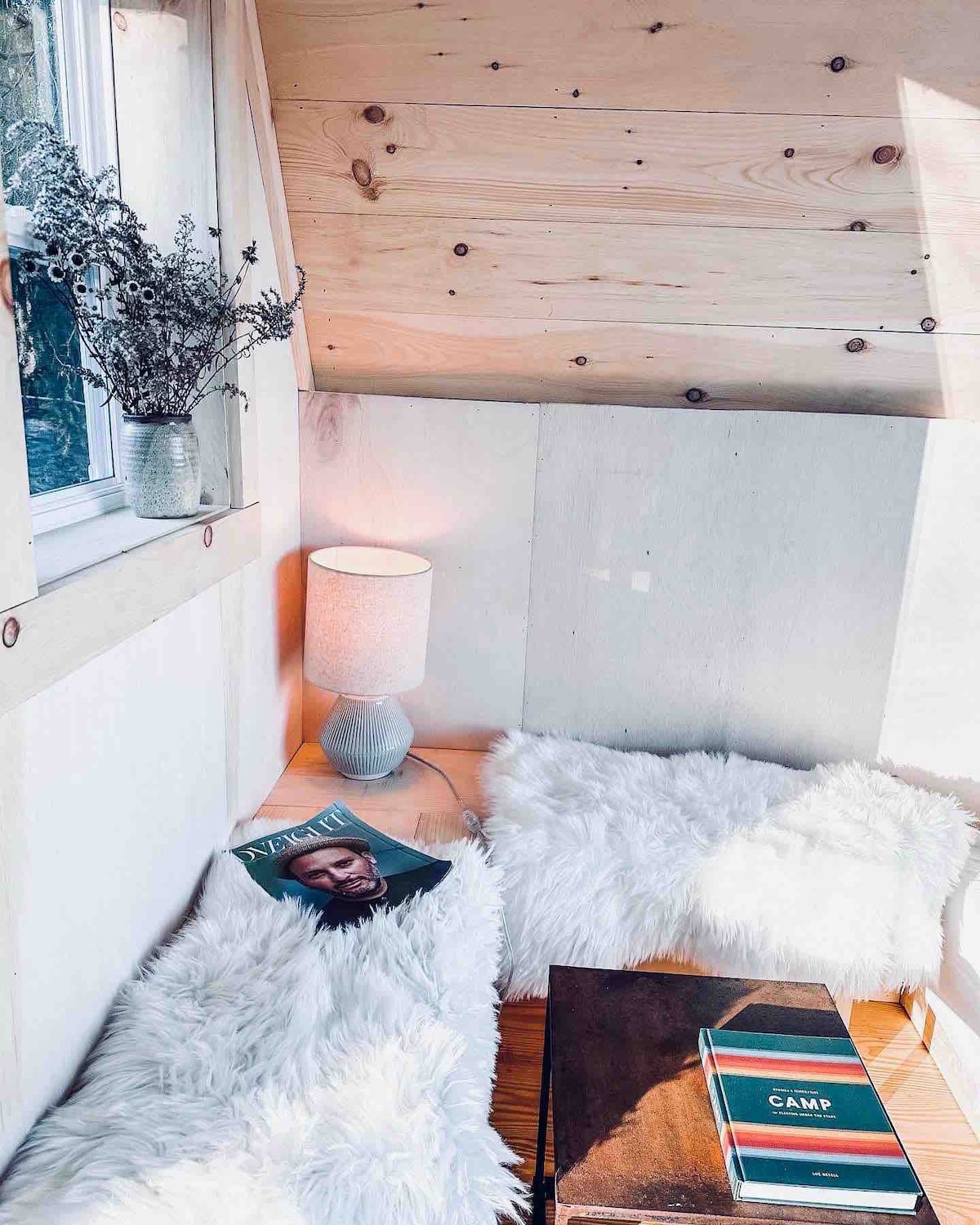 Tiny like “A” frame cabin with alpacas