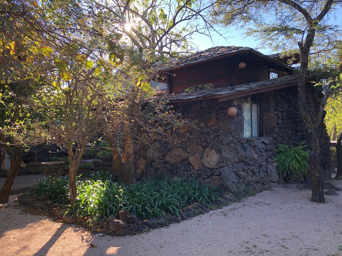 Splendor / 2 magnificent houses / Tepozteco Valley