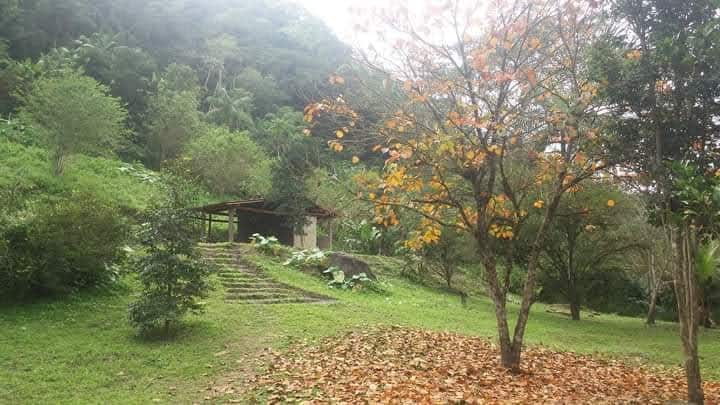Toca da Serra Forest的小屋